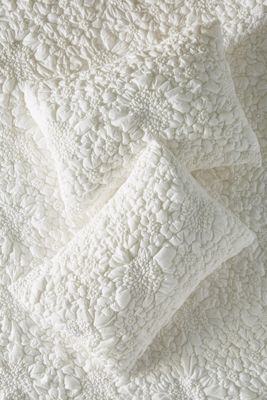 Textured Piazza Shams, Set of 2