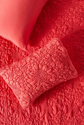 Textured Piazza Shams, Set of 2