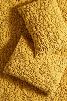 Textured Piazza Shams, Set of 2