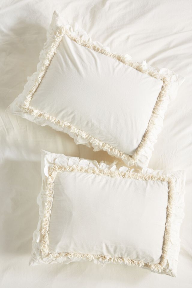 Embellished Dakota Standard Shams, Set of 2
