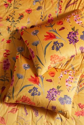 Layne Velvet Shams, Set of 2
