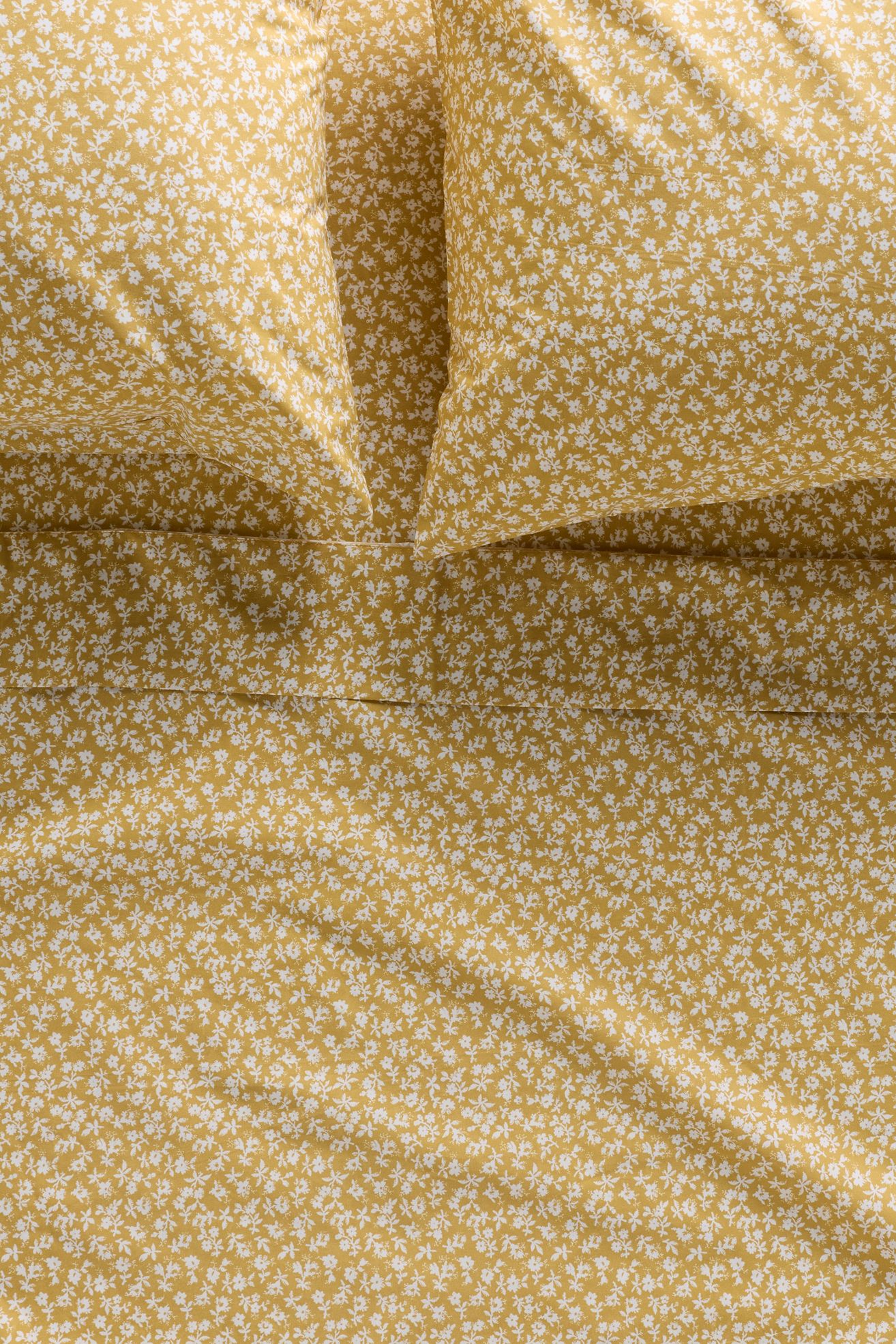 Organic Cotton Percale Printed Sheet Set - August, Queen