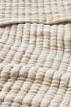 Amber Lewis for Anthropologie Woven Pfeiffer Bed Blanket