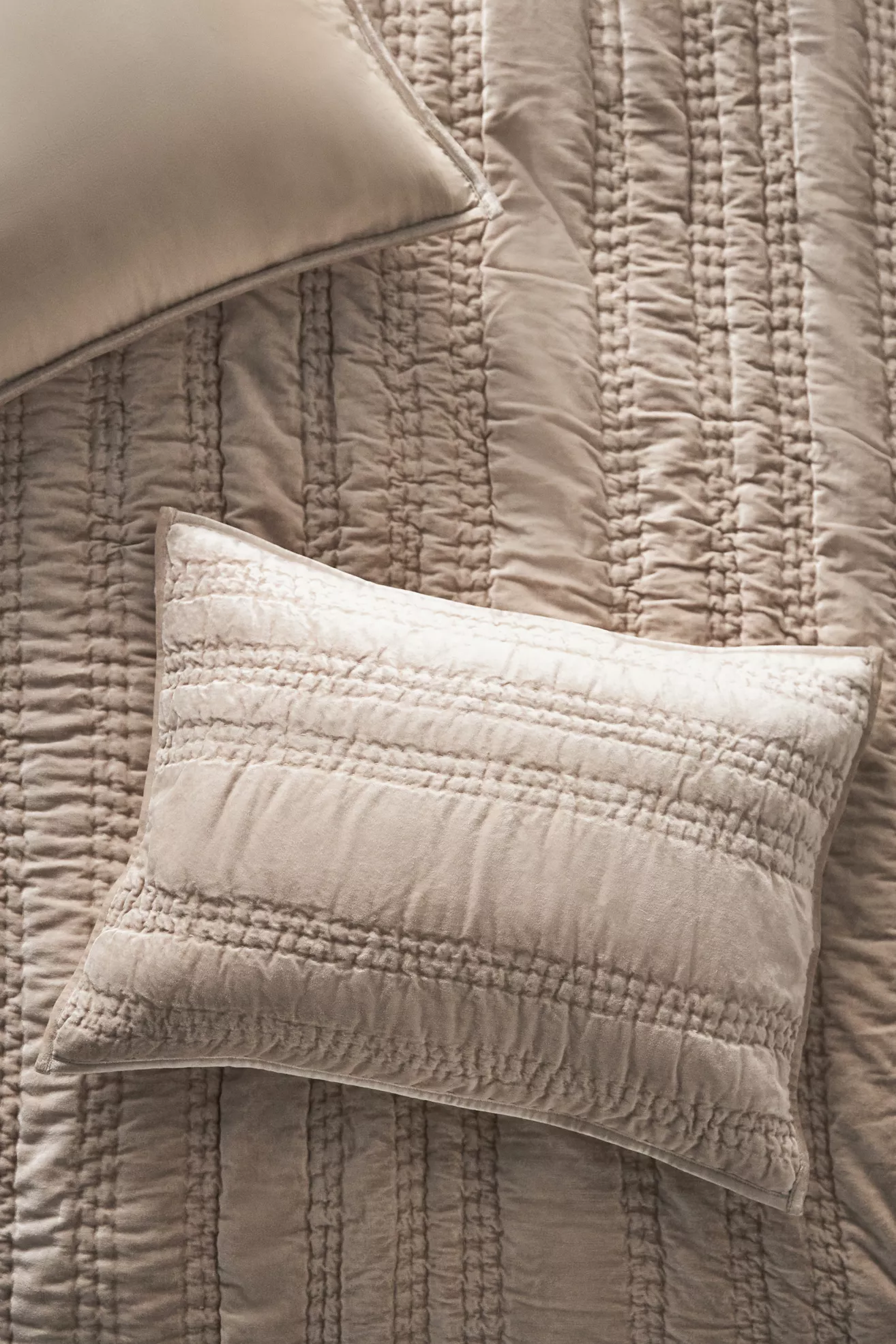 Lustered Velvet Alastair Shams, Set of 2
