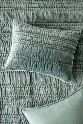 Anthropologie Lustered Velvet Alastair Shams, Set Of 2
