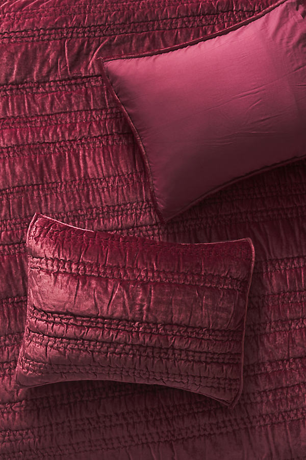 Anthropologie Lustered Velvet Alastair Shams, Set Of 2 By  In Purple Size S2kngsham