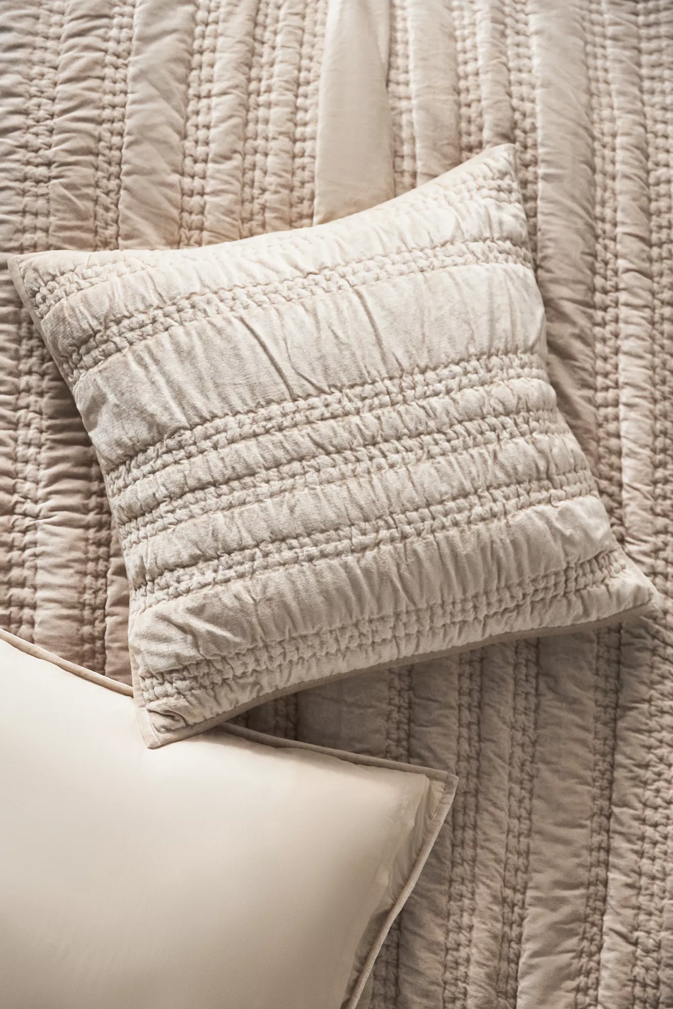 Lustered Velvet Alastair Euro Sham