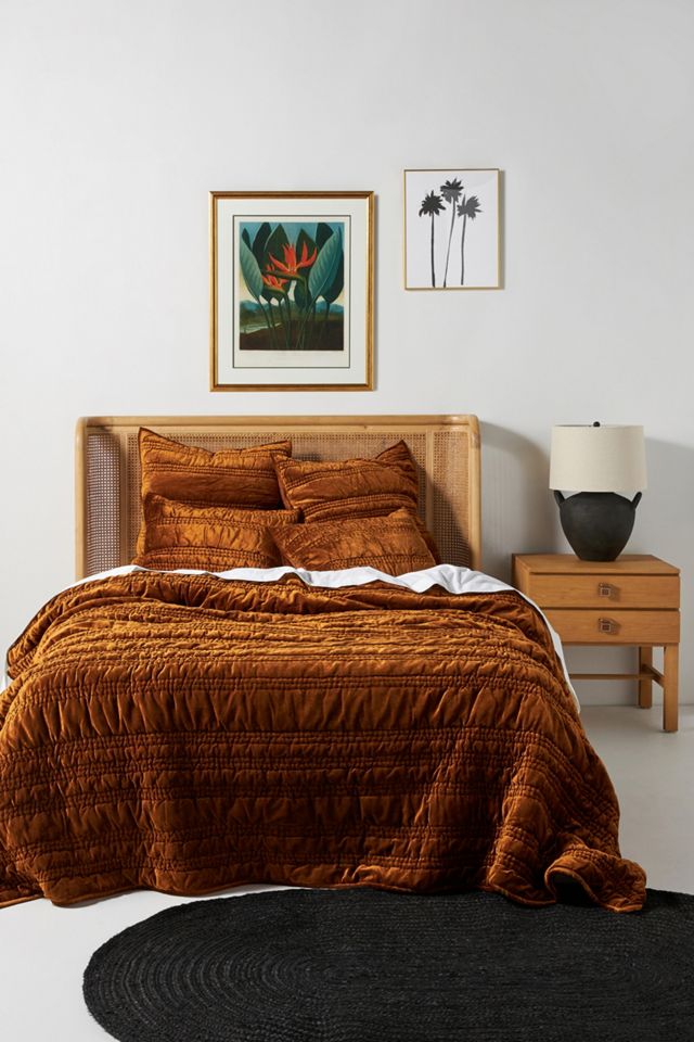 Lustered Velvet Alastair Euro Sham #1