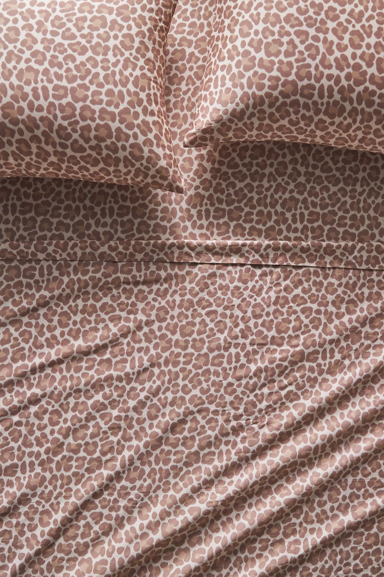 Organic Cotton Sateen Printed Sheet Set - Leopard, King