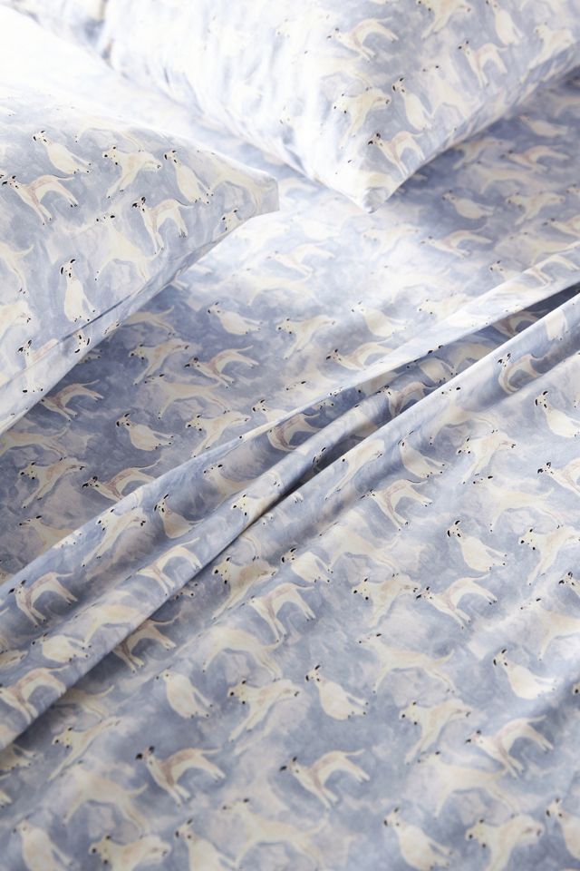 Organic Cotton Sateen Printed Sheet Set #1