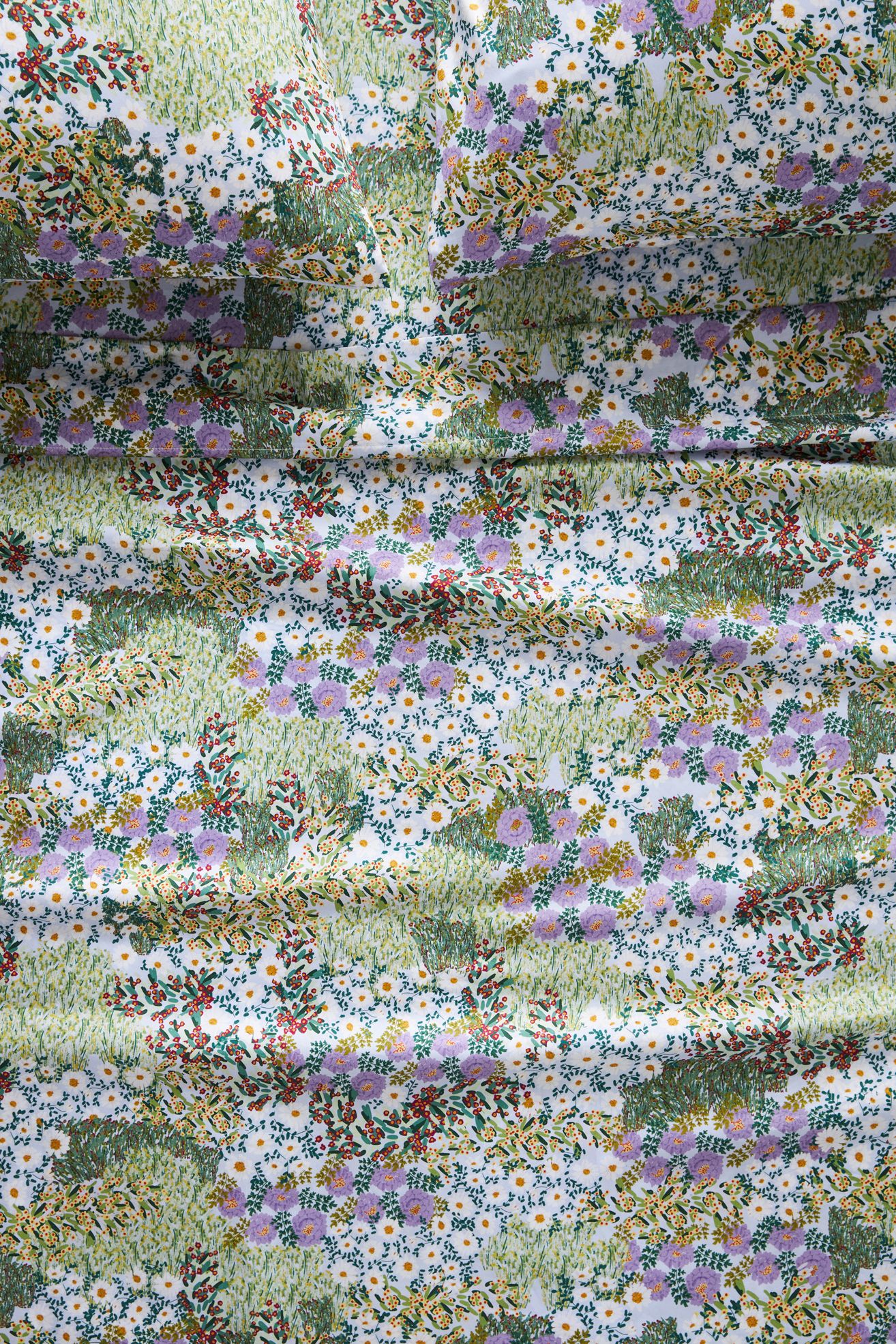 Organic Cotton Sateen Printed Sheet Set - Nalini Cool, Standard, Queen