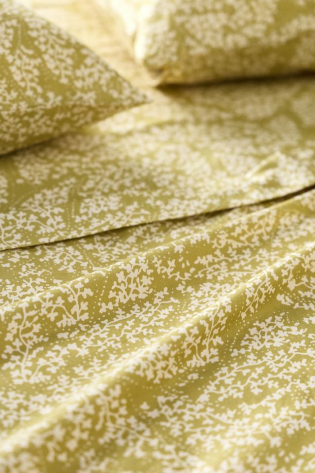 Organic Cotton Sateen Printed Sheet Set #1