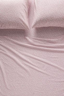 Organic Cotton Sateen Printed Sheet Set