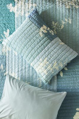 Renley Shams, Set of 2