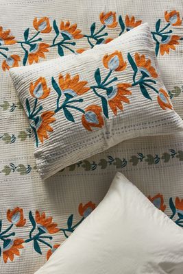 Embroidered Bevin Shams, Set of 2