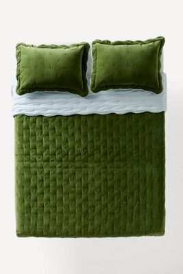 Abbott Cotton Velvet Solid Scalloped Bedspread