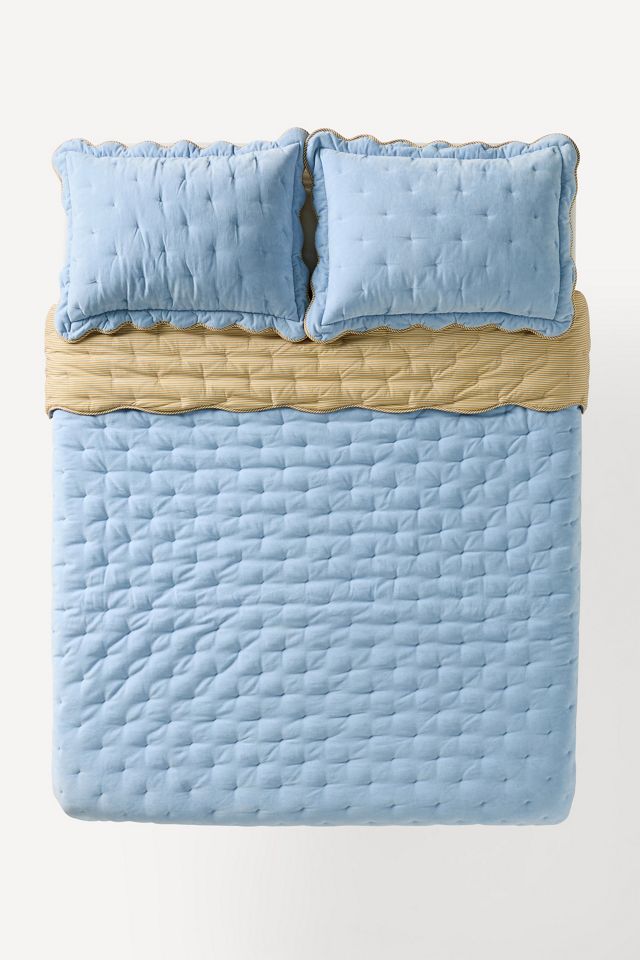 Abbott Cotton Velvet Solid Scalloped Quilt #2