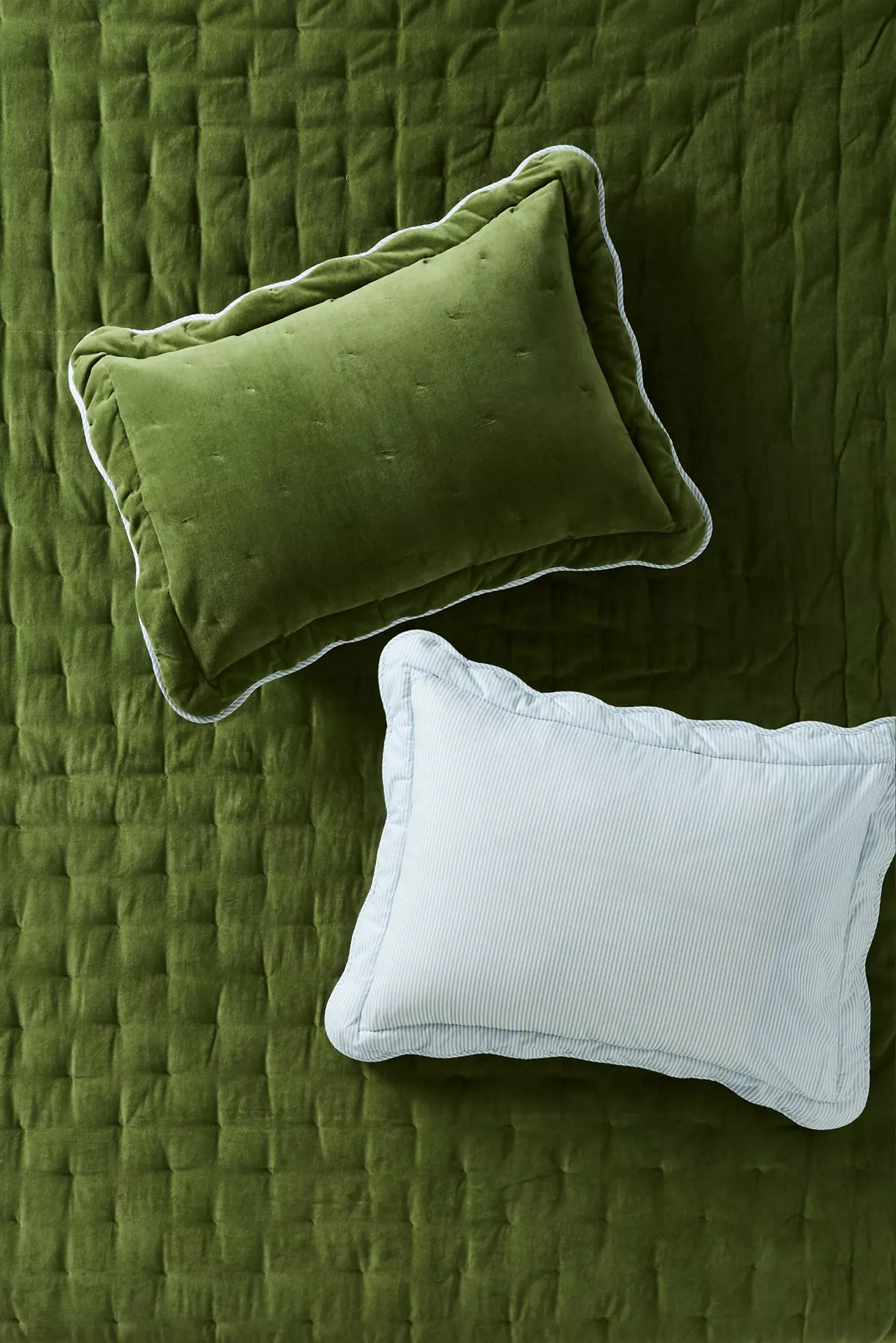 Abbott Cotton Velvet Solid Scalloped Shams, Set of 2 - thumbnail 3