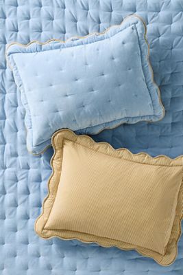 Abbott Cotton Velvet Solid Scalloped Shams, Set of 2