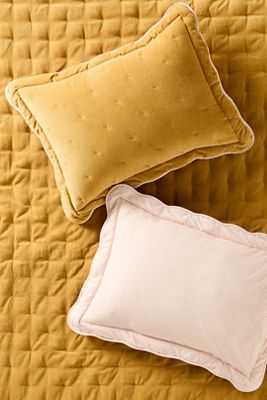 Abbott Cotton Velvet Solid Scalloped Pillowcases, Set of 2