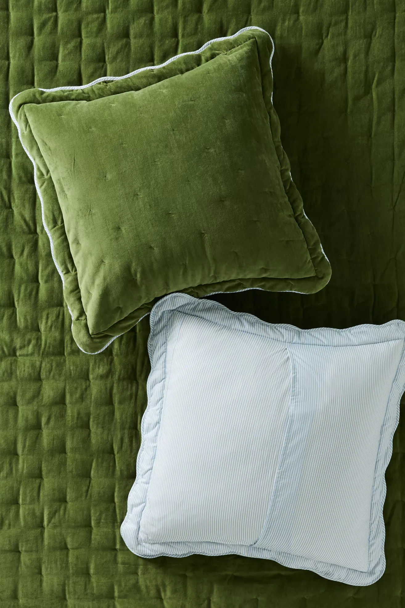 Abbott Cotton Velvet Solid Scalloped Euro Sham - thumbnail 3