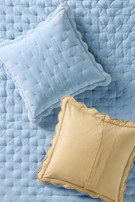Abbott Cotton Velvet Solid Scalloped Euro Sham