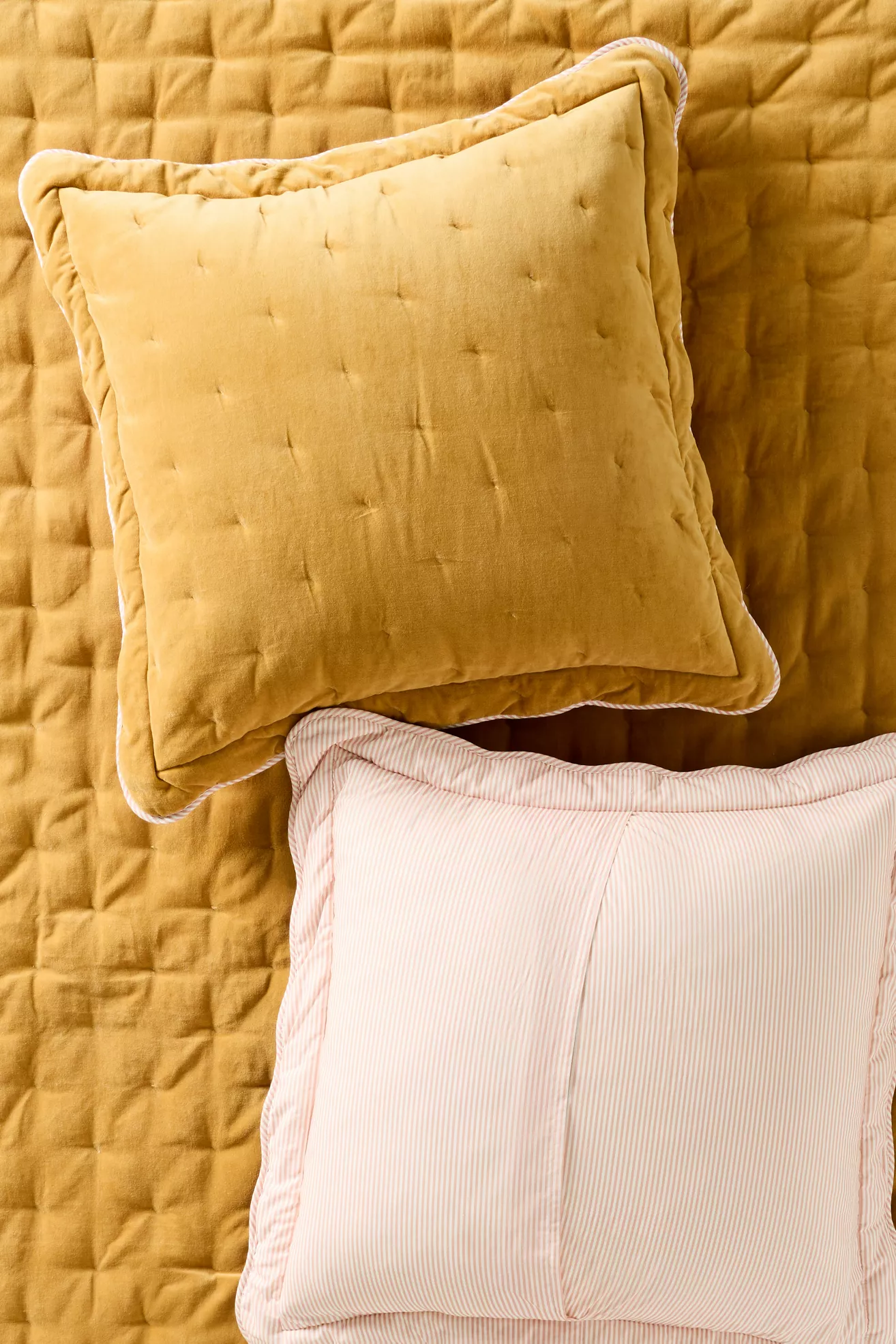 Abbott Cotton Velvet Solid Scalloped Euro Sham - thumbnail 2