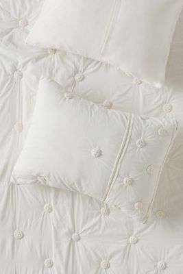 Charlotte Cotton Embroidered Shams, Set of 2