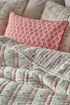 Maeve Cotton Striped Ruffle Printed Duvet Cover