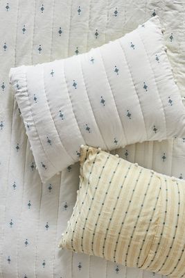 Cate Woven Cotton Shams, Set of 2