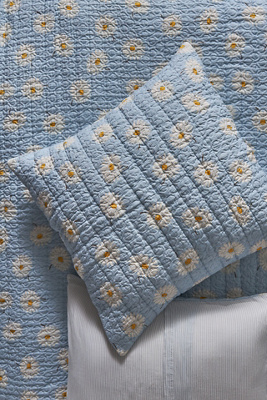 Anthropologie Lilla Cotton Euro Sham