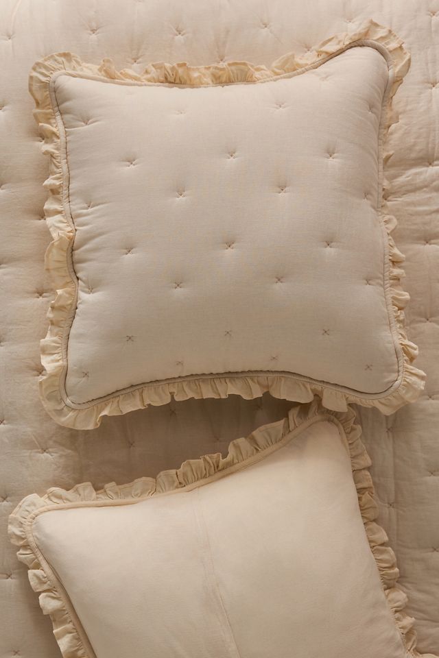 Anthropologie Ananda Euro deals Sham Pair