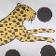Leopard Scarf