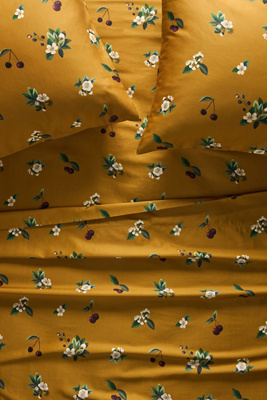 Maeve By Anthropologie Organic Sateen Printed Sheet Set