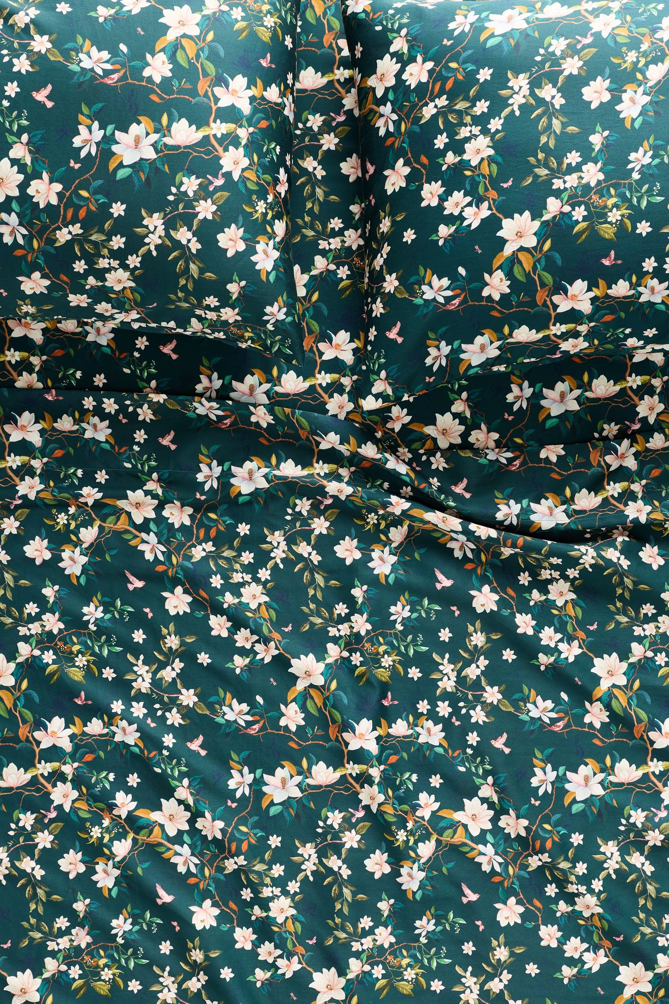 Organic Cotton Sateen Printed Sheet Set by Maeve - Magnolia Floral, King