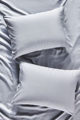 Sijo AiryWeight Eucalyptus Shams, Set of 2