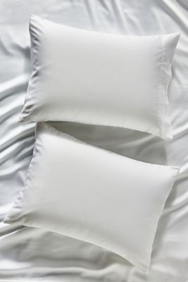 Sijo AiryWeight Eucalyptus Shams, Set of 2