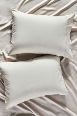 Sijo AiryWeight Eucalyptus Shams, Set of 2