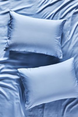Sijo AiryWeight Eucalyptus Shams, Set of 2