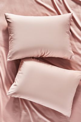 Sijo AiryWeight Eucalyptus Shams, Set of 2
