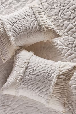 Gillian Cotton Plush Shams, Set of 2