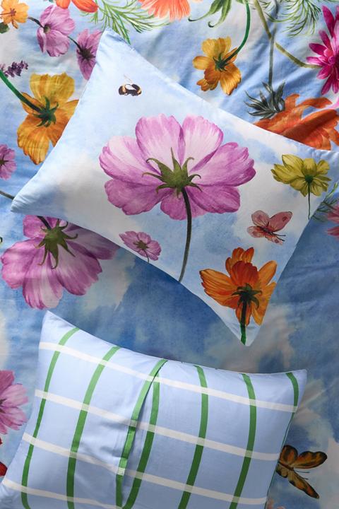 Maeve by Anthropologie Organic Cotton Sateen Shams, Set of 2