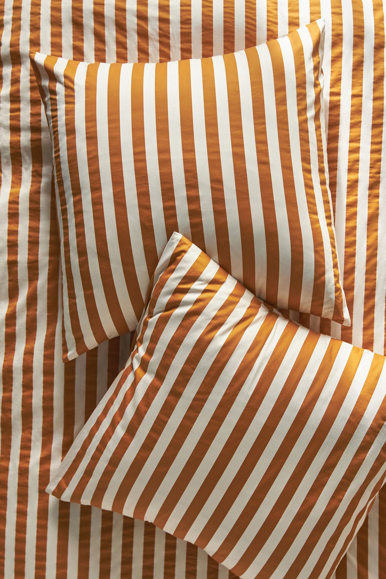 Maeve Marella Organic Sateen Euro Sham - Sienna Stripe, Euro Sham