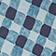 Blue Gingham