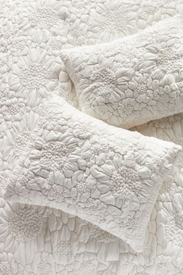 Dahlia Cotton Jersey Floral Shams, Set of 2