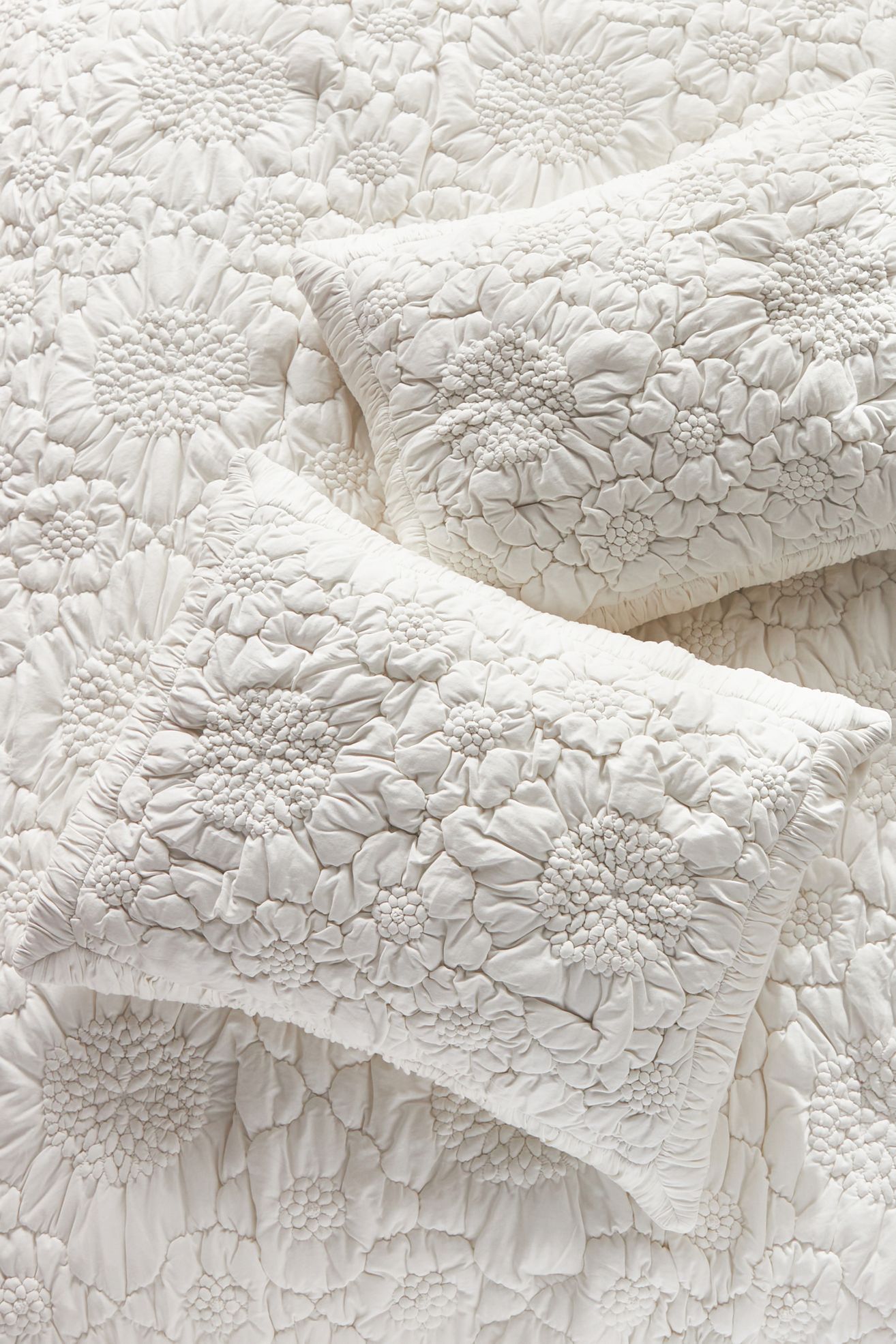 Dahlia Cotton Jersey Floral Shams, Set of 2 - White, Standard, Standard Sham, Set of 2