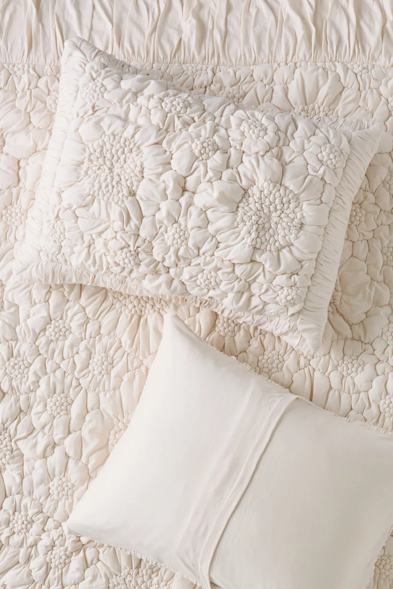 Dahlia Cotton Jersey Floral Shams, Set of 2