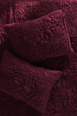 Dahlia Cotton Jersey Floral Shams, Set of 2