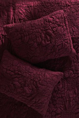 Dahlia Cotton Jersey Floral Shams, Set of 2