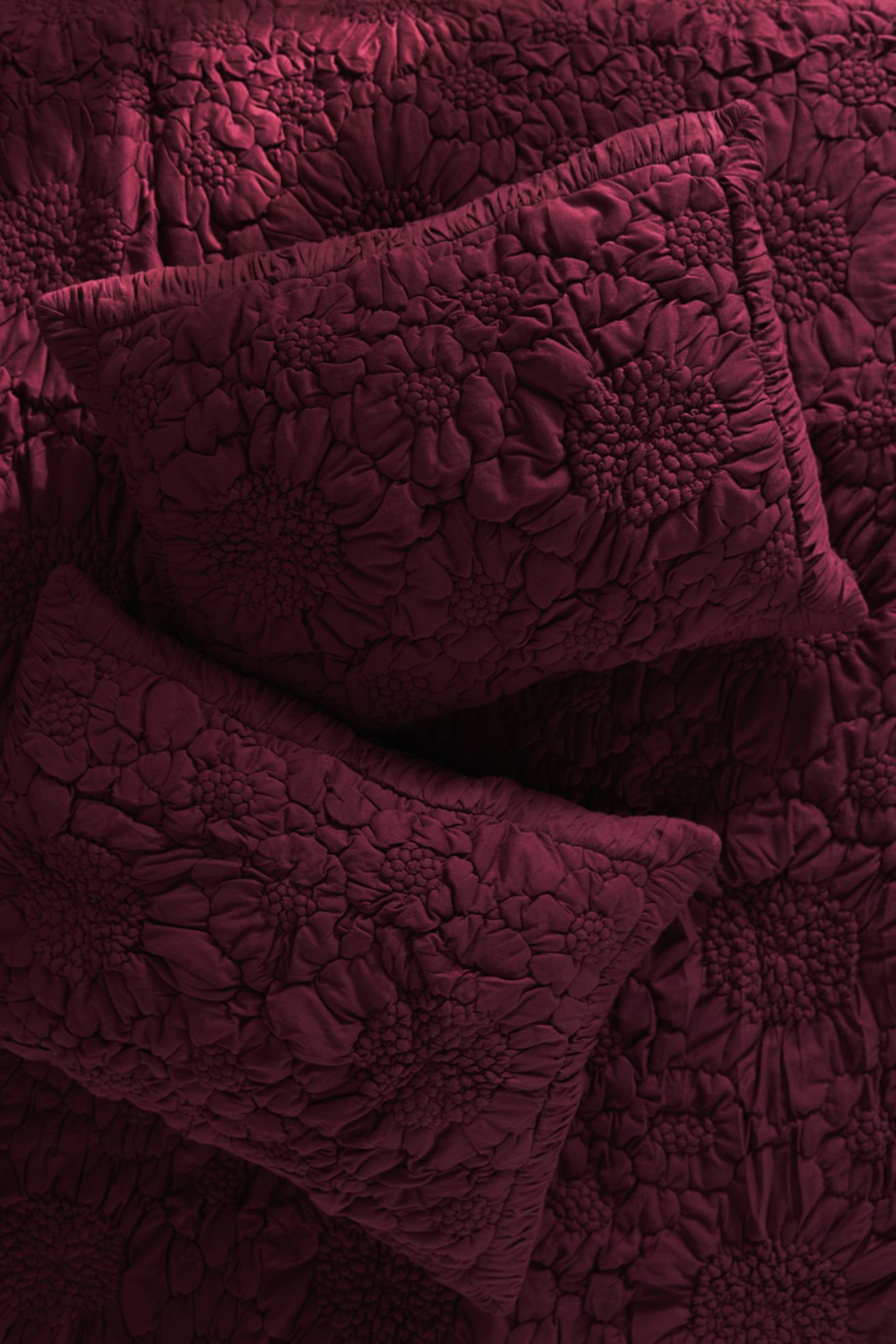 Dahlia Cotton Jersey Floral Shams, Set of 2 - Plum, Standard Sham, Set of 2